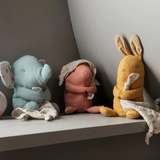 Lullaby Friends, Bunny
