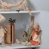 Carrots in Shopping Bag