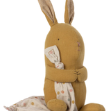 Lullaby Friends, Bunny