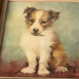 Vintage Florence Kroger Puppy Portrait Print | Framed Lithograph | Pyar+Co | Chicago, IL
