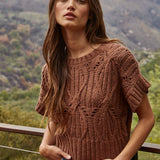 Knit Sweater Crochet Round Neck Short Sleeve Top