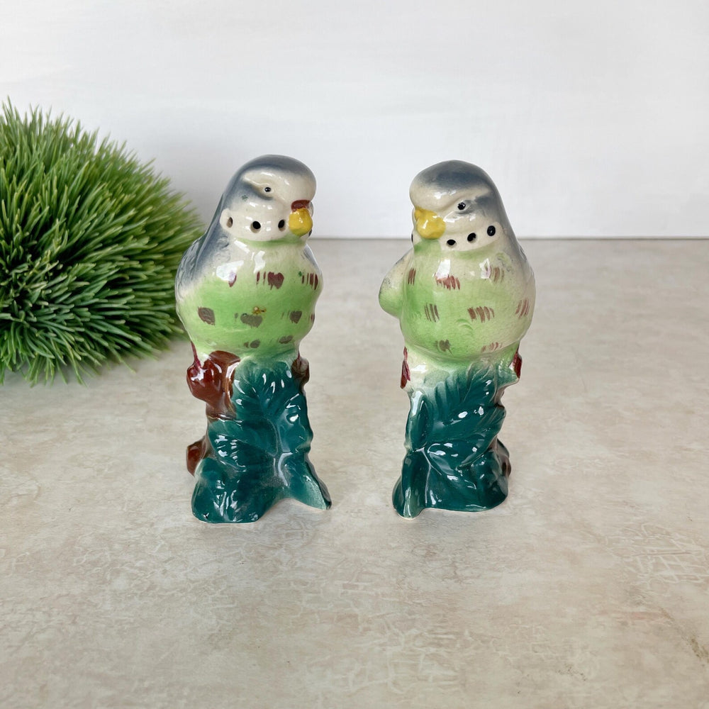 Parakeet S&P Set