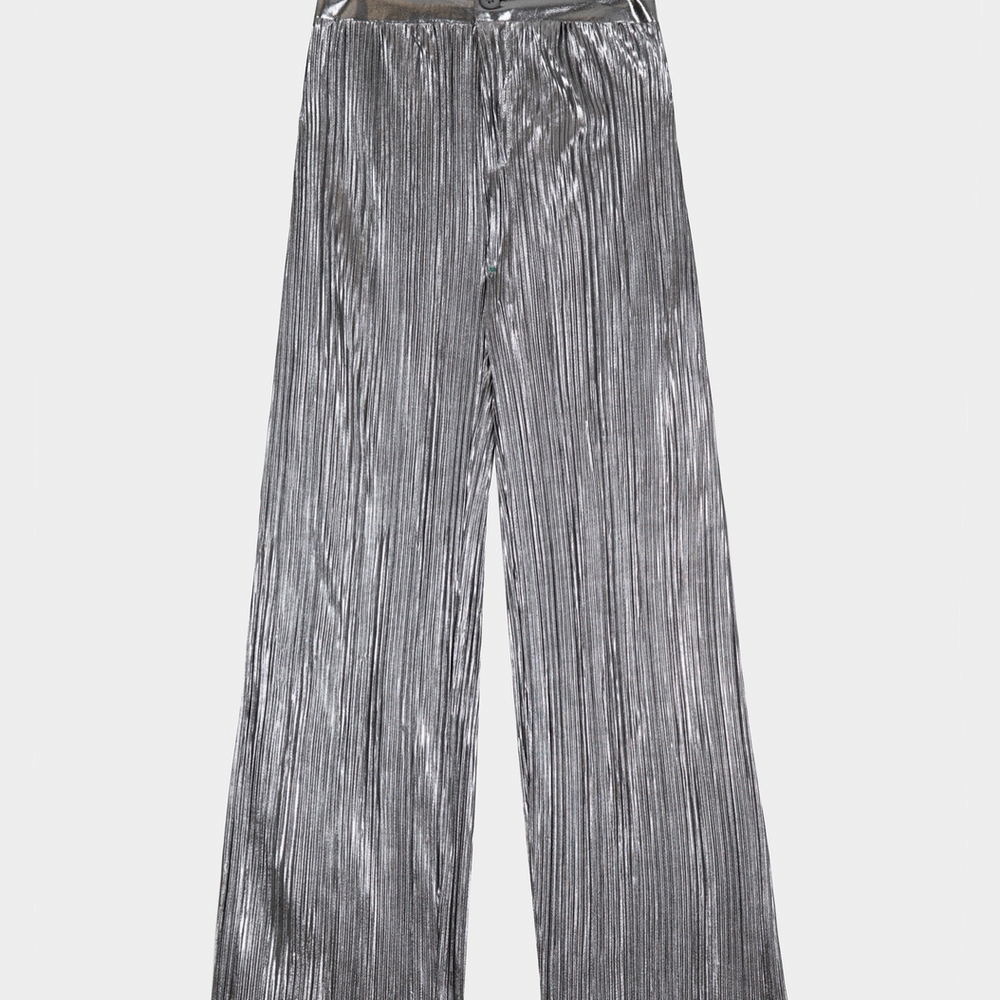 
                      
                        Silver Pleated and Iridescent Pant
                      
                    