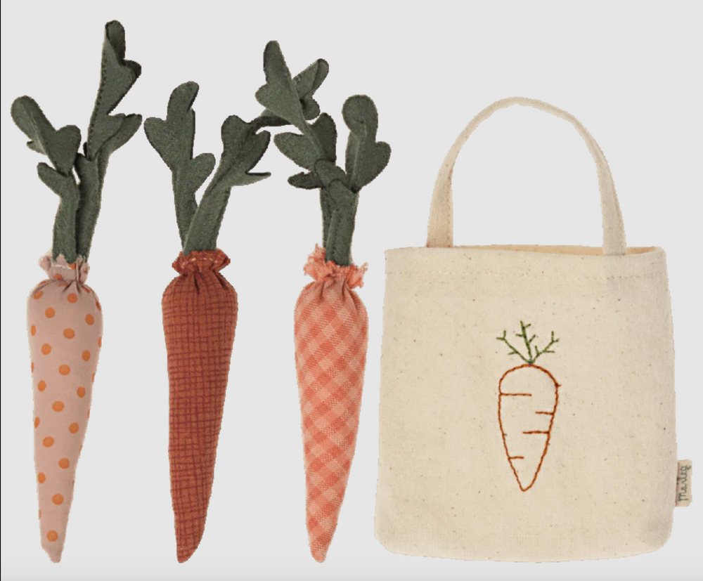 Carrots in Shopping Bag