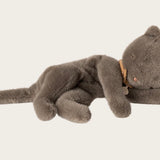 Maileg Sleeping Kitten